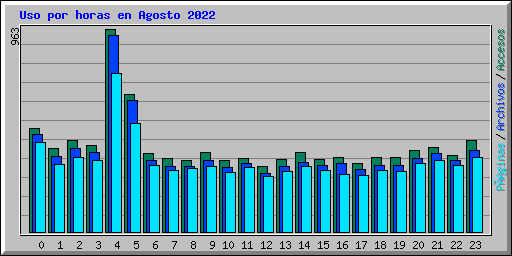 Uso por horas en Agosto 2022